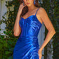 Spaghetti Strap V-Neck Women Formal Dress by Elizabeth K - GL3590 - Special Occasion/Curves