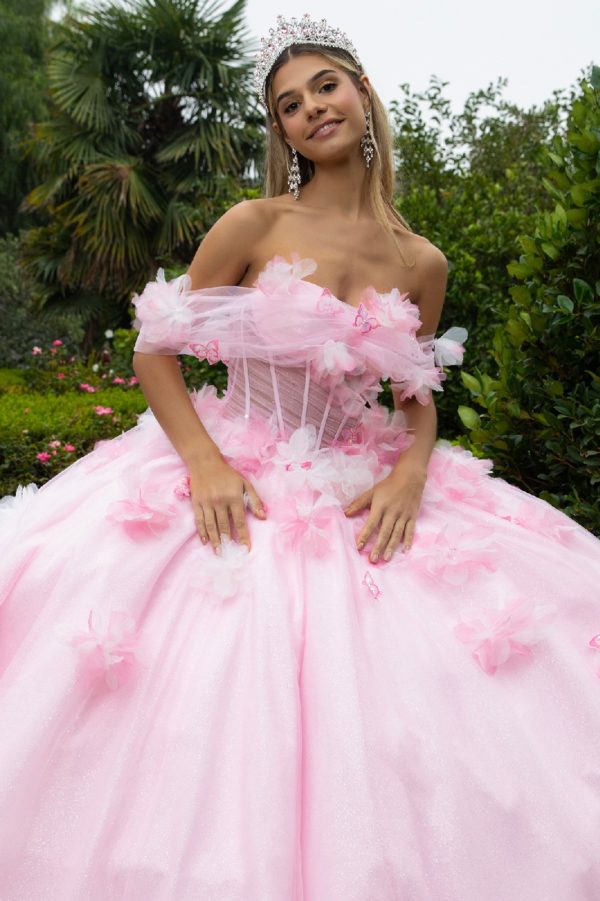 3D Flower Butterfly Sweetheart Neckline Quinceanera Dress by GLS by Gloria - GL3608