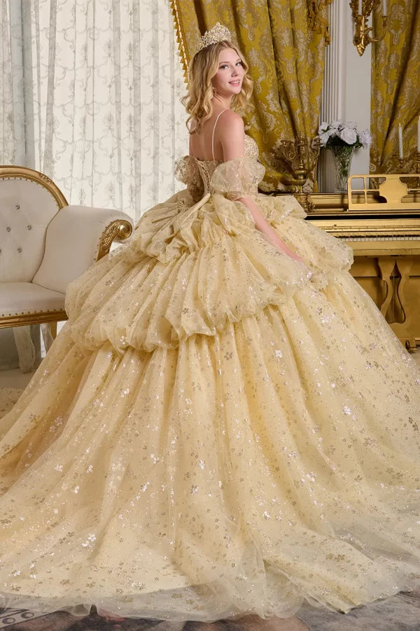 Glitter Cut-Away Shoulder Quinceanera Dress by Elizabeth K - GL3646