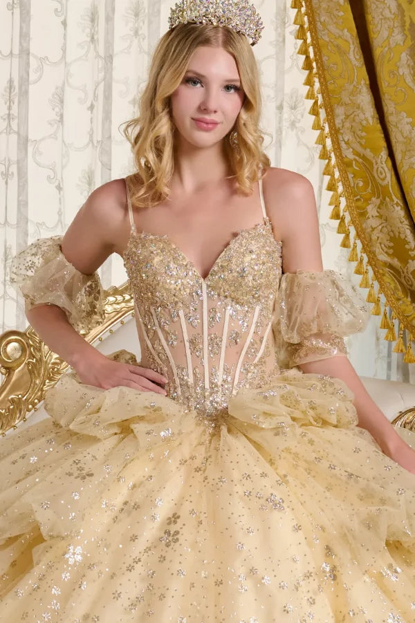 Glitter Cut-Away Shoulder Quinceanera Dress by Elizabeth K