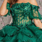 3-D Flower Applique Straight Across Neckline Quinceanera Dress by Elizabeth K - GL3180