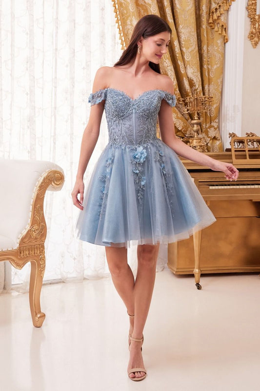 Off the Shoulder Lace Tulle Short Dress by Cinderella Divine - CD0194