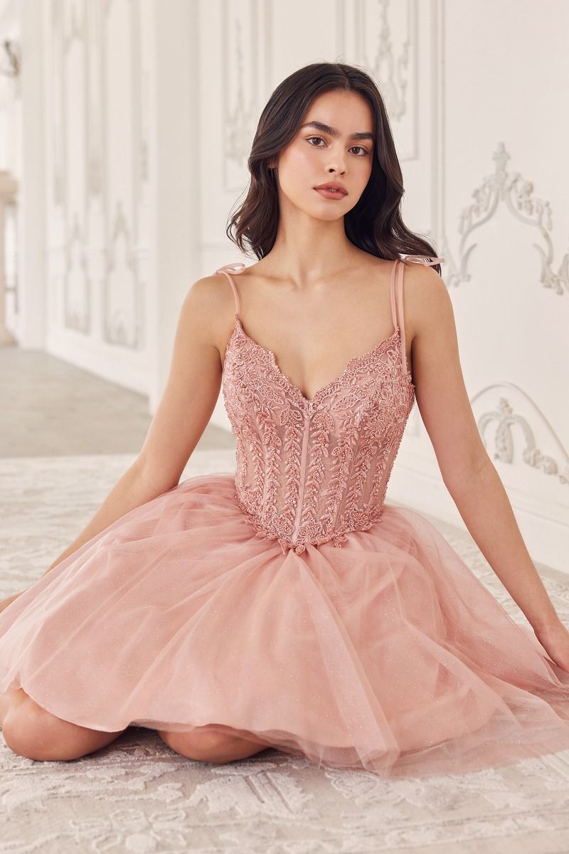 chinese dress ladies A-Line V-Neck Beaded Tulle Long Prom Dresses Burgundy Prom Dress APD3146 main image 0