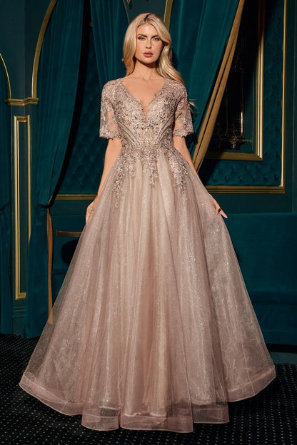 Lace Applique V-Neckline A-Line Gown By Ladivine CD726 - Women Evening Formal Gown - Special Occasion/Curves