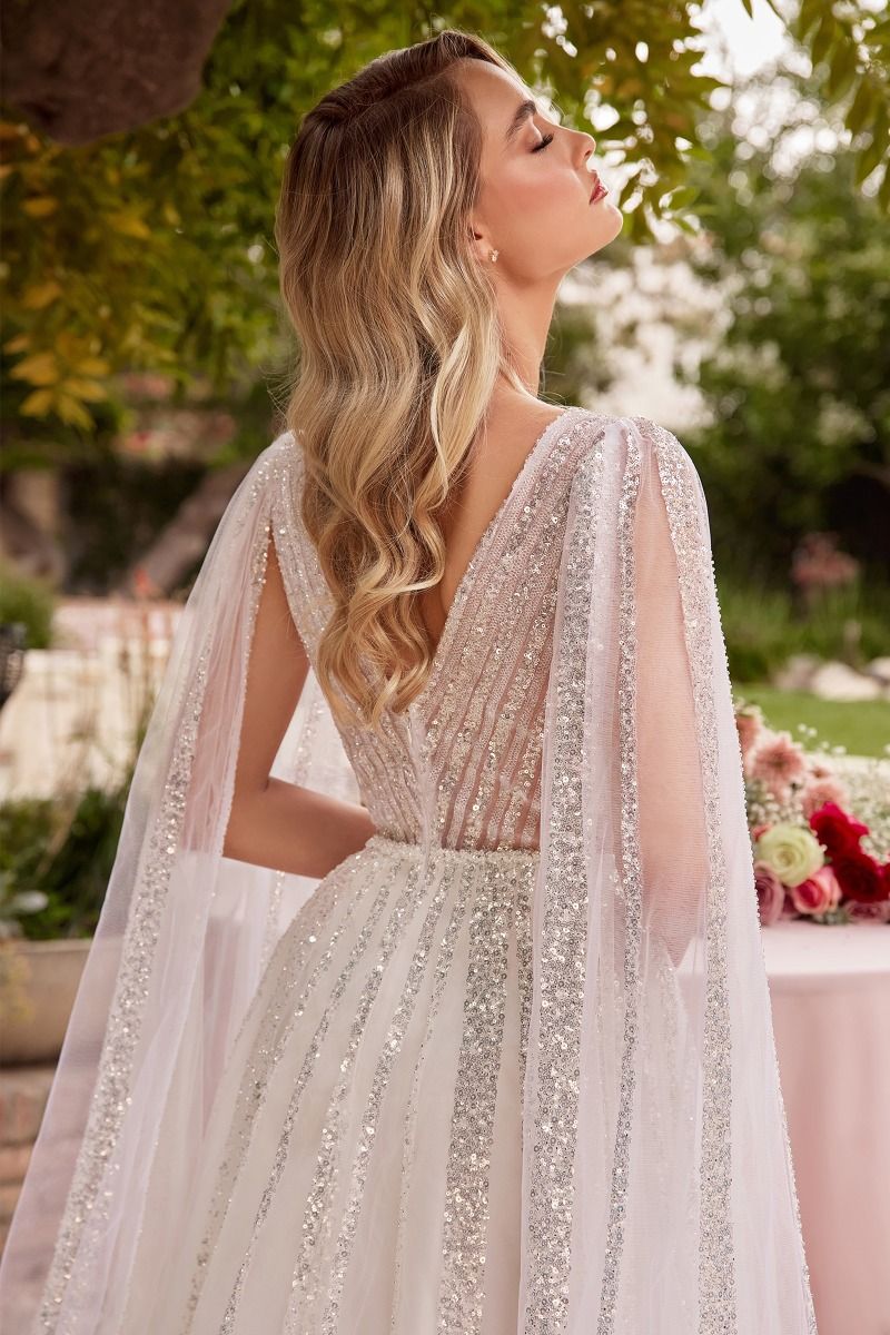 Sparkle Long Sleeves A-Line Bridal Gown by Ladivine