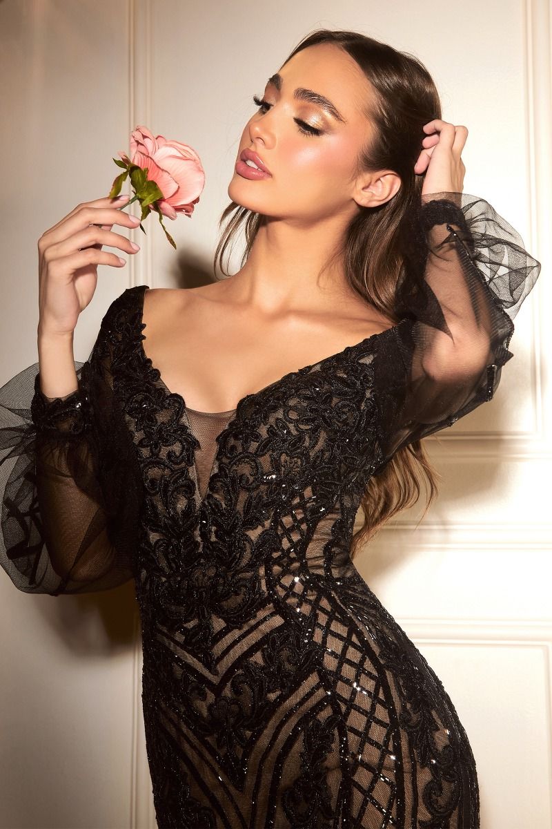 sparkling long sleeve dress Long-Sleeve Long Embellished Formal Dress CD864