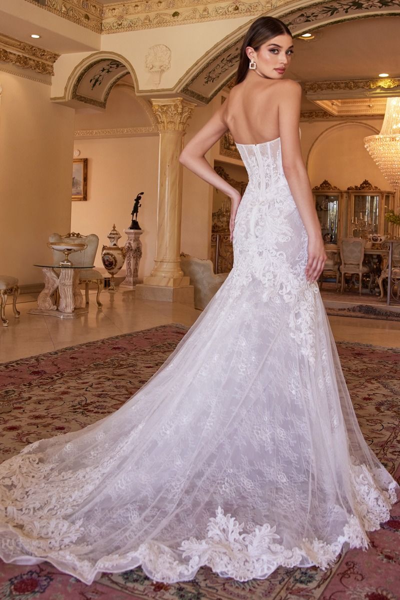 fitted lace wedding dress Strapless Lace Tulle Mermaid Bridal Gown by Cinderella Divine CD928 –  Ariststyles