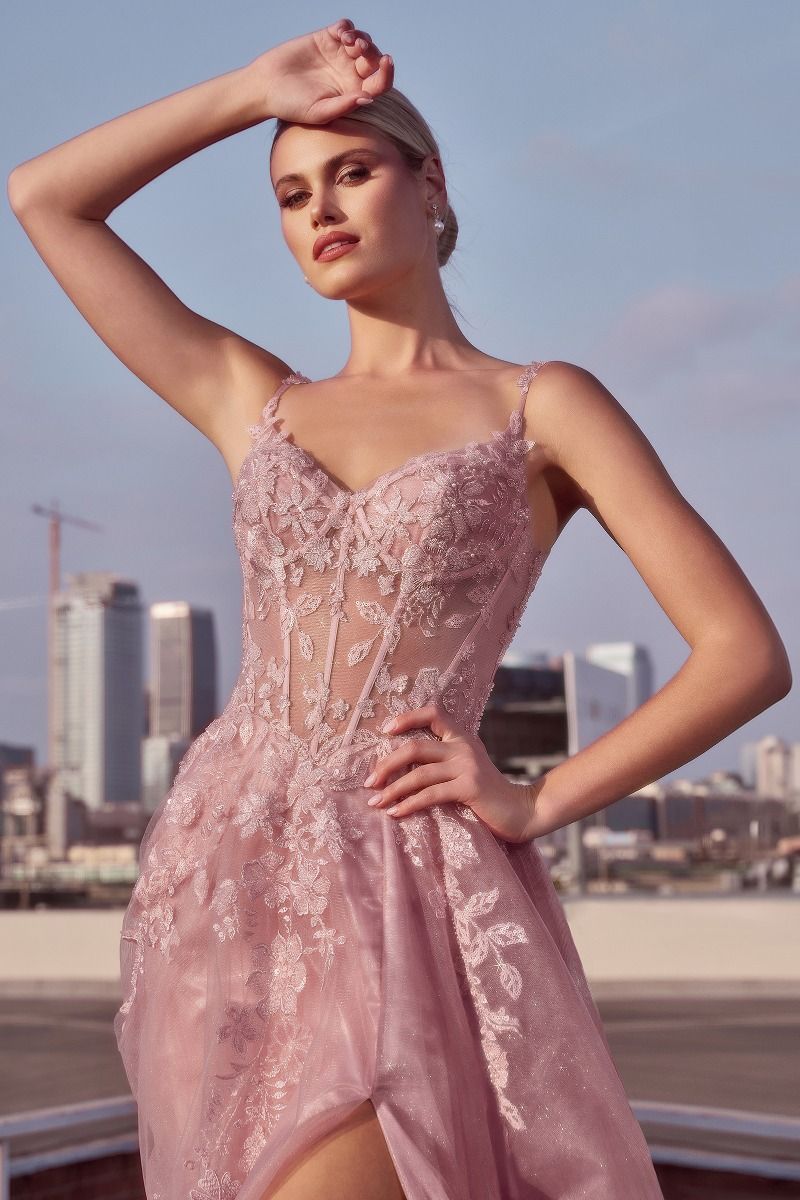 tulle gowns & formal dresses Deep V-Neckline Layered Tulle By Ladivine CDS533 - Women Evening Formal Gown