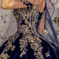 Embroidery Velvet Sweetheart Neckline Quinceanera Dress by GLS by Gloria - GL3471