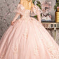 Glitter Embroidery Sweetheart Quinceanera Dress by GLS by Gloria - GL3476