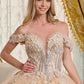 Glitter Netting V-Neckline Quinceanera Dress by Elizabeth K - GL3630