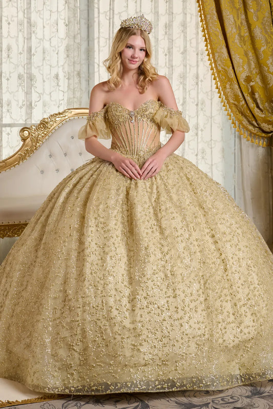 Embroidery Sequin V-Neckline Quinceanera Dress by Elizabeth K - GL3632