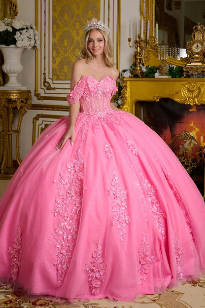 3D Floral Applique Off Shoulder Quinceanera Dress by Elizabeth K - GL3635