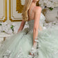 Spaghetti Strap V-Neckline Tulle Quinceanera Dress by Elizabeth K - GL3649