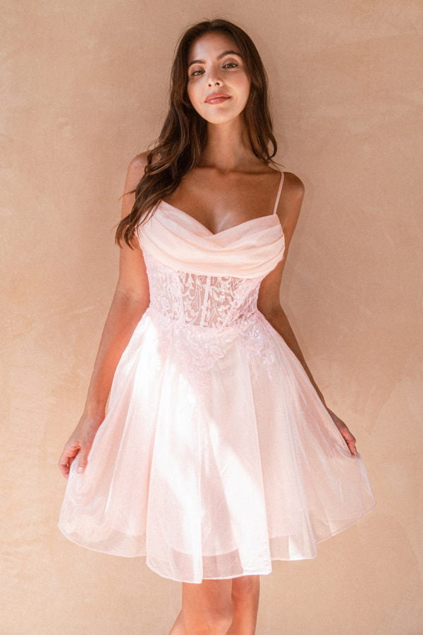 Applique Short Sleeveless Dress by Elizabeth KGS3507 - Blush / XS Applique Short Sleeveless Dress by Elizabeth KGS3507 - Blush / XS