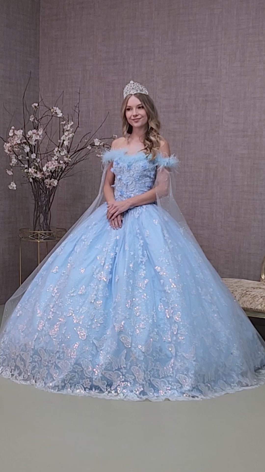 quinceanera dresses nc