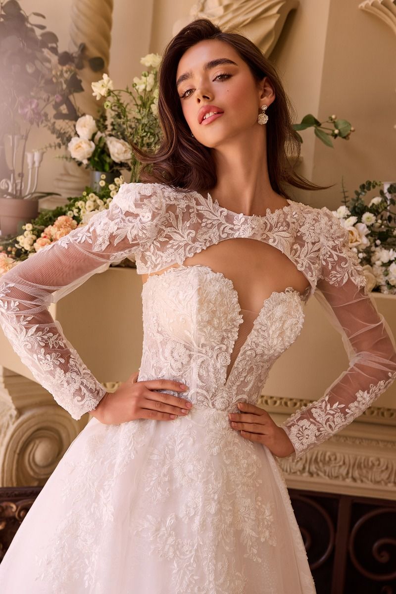 layered wedding dress with sleeves Wedtrend Women Ivory Bridal Dress A Line Long Chiffon Wedding Dress With 3D Butterflies Long Sleeves, Ivory / US8