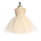 Baby Girl Lace Tulle Sequin Back V Party Dress- AS522B Kids Dream