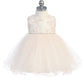 Baby Dress with Tulle Lace Bodice by TIPTOP KIDS - AS5786S
