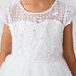 Flower Girl Beautiful Lace Applique Dress by TIPTOP KIDS - AS5799