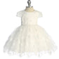 Baby Dress with Jewel Design with 3D Floral Overlay by TIPTOP KIDS - AS5845S