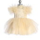 Baby Dress with Lace Applique and Fluffy Sleeves by TIPTOP KIDS - AS5848S