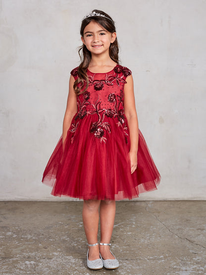 Girl Party Dress with Stunning Cap Sleeved by TIPTOP KIDS - AS7026