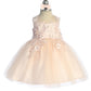 Baby Dress with Beautiful Illusion Neckline Bodice by TIPTOP KIDS - AS7038S