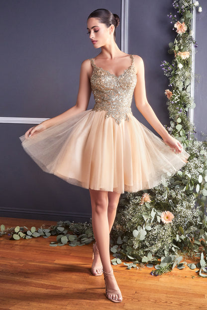 Glitter Lace Bodice with Tulle Short Layered Cocktail Dress by Cinderella Divine - 9239