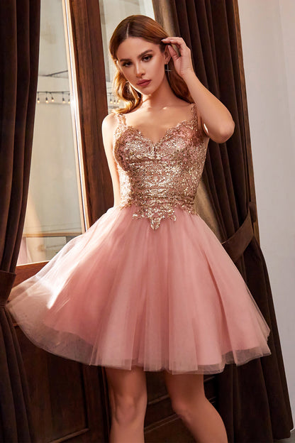 Glitter Lace Bodice with Tulle Short Layered Cocktail Dress by Cindere Ariststyles Glitter Lace Bodice with Tulle Short Layered Cocktail Dress by Cindere Ariststyles