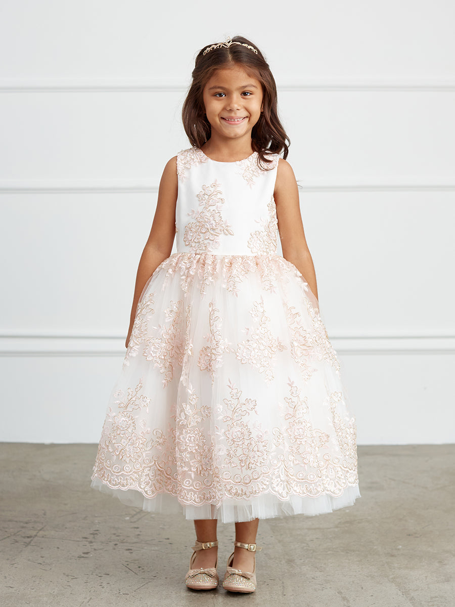 Blush Girl Dress with Metallic Lace Embroidery Tulle Skirt Dress - AS5816