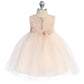 Baby Girl Lace Blush Pink Illusion Party Dress- AS414B Kids Dream