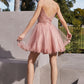 Blush_1 Tulle Lace A-Line Short Dress CD0213