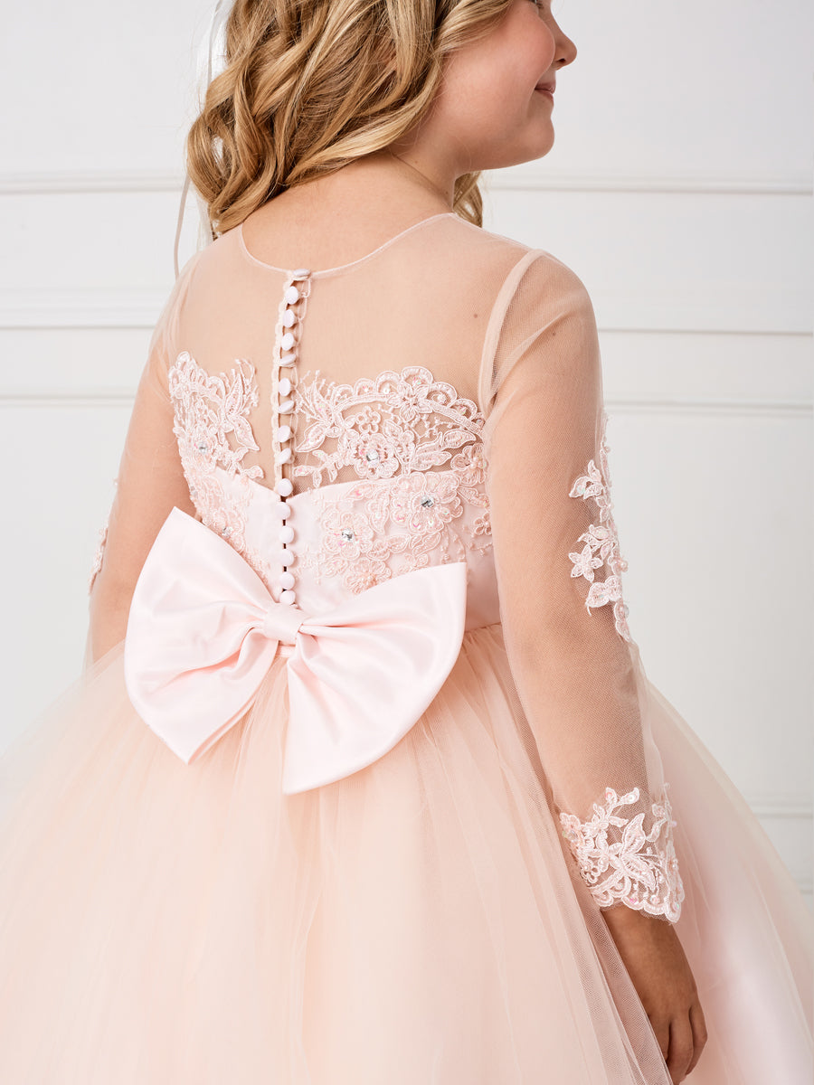 Blush_2 Girl Dress with Stunning Sleeves and Bodice Dress - AS5780
