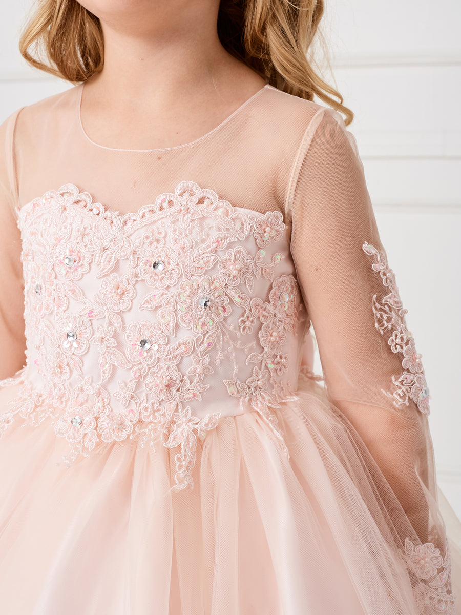 Blush_4 Girl Dress with Stunning Sleeves and Bodice Dress - AS5780