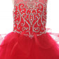Cinderella Couture USA AS8003 Satin Tulle Mini Quince