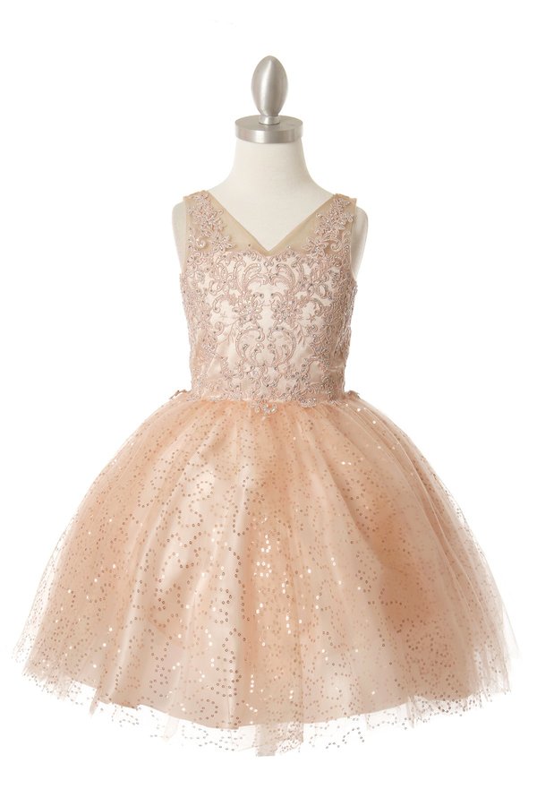 Big Girls Blush V-Neck Embroidered Beaded Party Flower Girl Dress 8