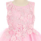 Floral Lace Tulle Girl Baby Dress by Cinderella Couture USA 9125B