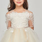 Lace Satin Tulle Flower Girl Dress by Cinderella Couture USA AS5091