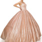 Cinderella Couture USA AS8010J-RG Shiny Metallic Quinceanera Dress