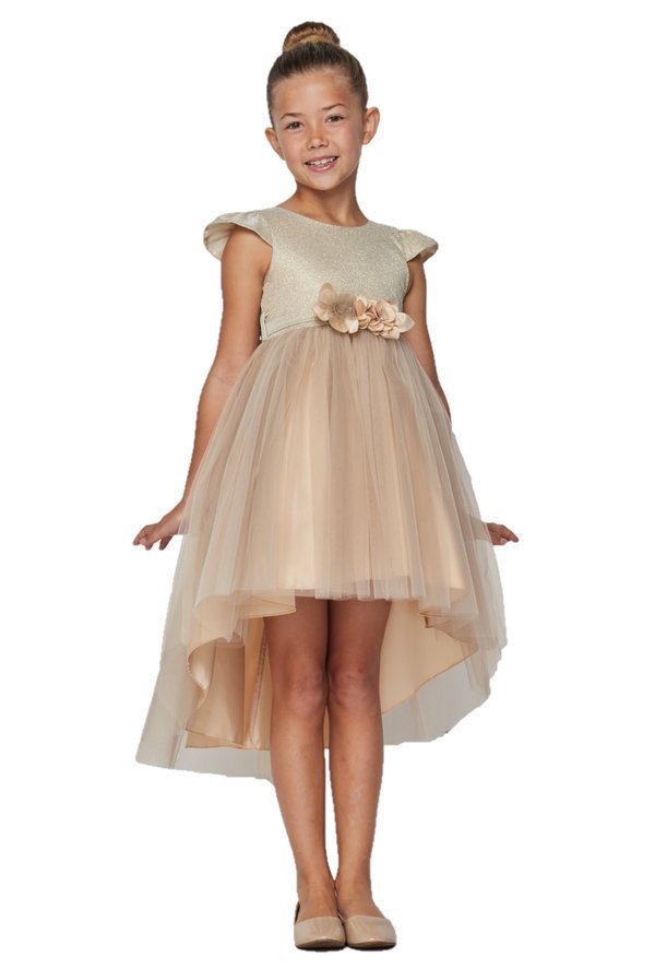 Cap sleeve Glitter Top, High Low Tulle Girl Party Dress by Cinderella Couture USA AS5072