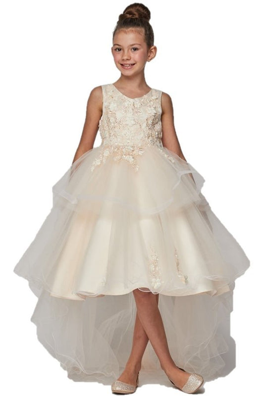 Sequin Pearl Beaded Tulle Girl Party Dress by Cinderella Couture USA AS9056
