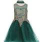 Gold Lace Rhinestone Tulle Girl Party Dress by Cinderella Couture USA AS5017