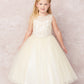 Champagne Girl Dress with Applique Bodice Tulle Skirt - AS5747