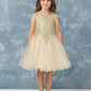 Champagne Girl Dress with Floral Applique Bodice - AS7013