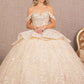 Champagne Jewel 3-D Butterfly Applique Sweetheart Quinceanera Dress - GL3112