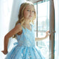 Dusty Blue_1 Girl Dress with Glitter Tulle Overlay Dress - AS7036