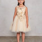 Gold Girl Dress with Flowers Rhinestone Bodice - AS7027