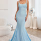 Lt-blue Long Stretch Mermaid Gown CD2219 - Women Evening Formal Gown - Special Occasion
