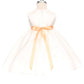 Peach_1 Baby Shantung Flower Party Dress-AS219F